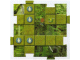 Gear No: 4189443pb01 Name: Orient Gameboard Square - Jungle 1 Gear No: 4189443pb01 Name: Orient Gameboard Square - Jungle 1