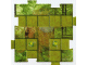 Gear No: 4189443pb02 Name: Orient Gameboard Square - Jungle 2 Gear No: 4189443pb02 Name: Orient Gameboard Square - Jungle 2