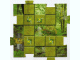 Gear No: 4189443pb06 Name: Orient Gameboard Square - Jungle 6 Gear No: 4189443pb06 Name: Orient Gameboard Square - Jungle 6