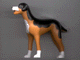Part No: sita Name: Dog, Scala with Black Back and White Chest, Feet and Muzzle Pattern (Sita) Part No: sita Name: Dog, Scala with Black Back and White Chest, Feet and Muzzle Pattern (Sita)