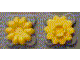 Part No: clikits004u Name: Clikits Icon, Flower 10 Petals 2 x 2 Small with Pin (Undetermined version) Part No: clikits004u Name: Clikits Icon, Flower 10 Petals 2 x 2 Small with Pin (Undetermined version)