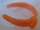 Part No: x1401 Name: Scala, Clothes Hair Band with Stud Part No: x1401 Name: Scala, Clothes Hair Band with Stud