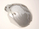 Part No: 41671pb05 Name: Bionicle Bohrok Windscreen 4 x 5 x 7 with White Scales and Kohrak-Kal Logo Part No: 41671pb05 Name: Bionicle Bohrok Windscreen 4 x 5 x 7 with White Scales and Kohrak-Kal Logo