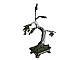 Lot ID: 41691803 invID: 41691803