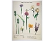 Lot ID: 403401799  Gear No: 5007798  Name: Botanical Collection, The LEGO Flower Bouquet VIP Poster
