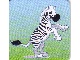 Gear No: 852696card20  Name: DUPLO Picture Lottery Game Card, Zoo - Zebra