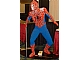 Gear No: Spiderman1  Name: Spider-Man, Life-Size (Glued)