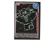 Gear No: ctw060FR  Name: Create the World Trading Card #060 La Chauve-Souris Vampire (French)