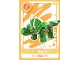 Gear No: ctw064BE  Name: Create the World Trading Card #  64 Tricératops /  Triceratops (Belgian)