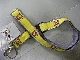 Gear No: ks03  Name: Lanyard with LEGO Play On Logo with Detachable Key Ring
