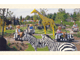 Gear No: pcLB124  Name: Postcard - Legoland Parks, Legoland Billund - LEGO Safari