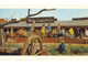 Gear No: pcLS9  Name: Postcard - Legoland Parks, Legoland Sierksdorf - LEGOREDO, Pony Ranch