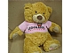 Gear No: plush02  Name: Teddy Bear Plush - LEGOLAND California Pink Shirt