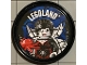 Gear No: pin188  Name: Pin, LEGOLAND Spider Lady 2 Piece Badge