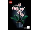 Lot ID: 392572530  Instruction No: 10311  Name: Orchid