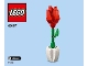 Instruction No: 40187  Name: Flower Display