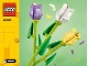 Lot ID: 287219216  Instruction No: 40461  Name: Tulips
