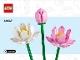 Lot ID: 404004976  Instruction No: 40647  Name: Lotus Flowers