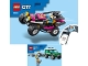 Lot ID: 290549836  Instruction No: 60288  Name: Race Buggy Transporter