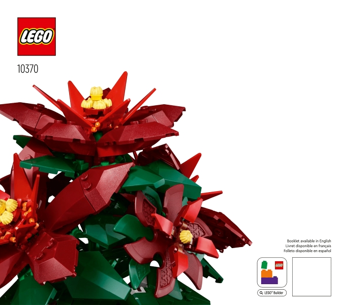 Poinsettia