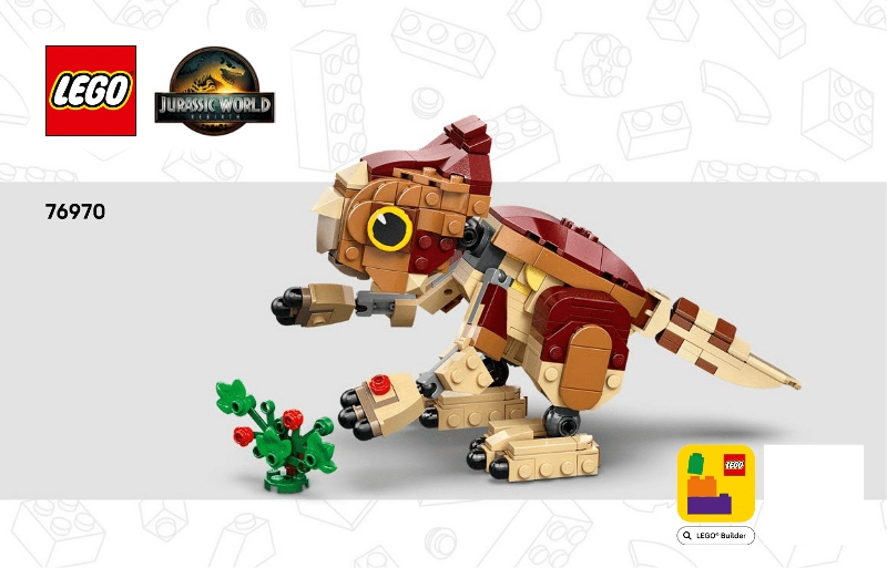 Baby Dinosaur Dolores: Aquilops