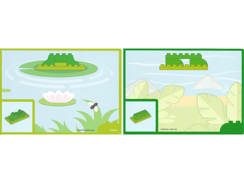 Set 10472 - Activity Card 8 - Frog / Crocodile Bottom Half