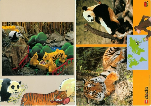 Set 9160 Activity Card 3 - Tiger and Panda (120330)