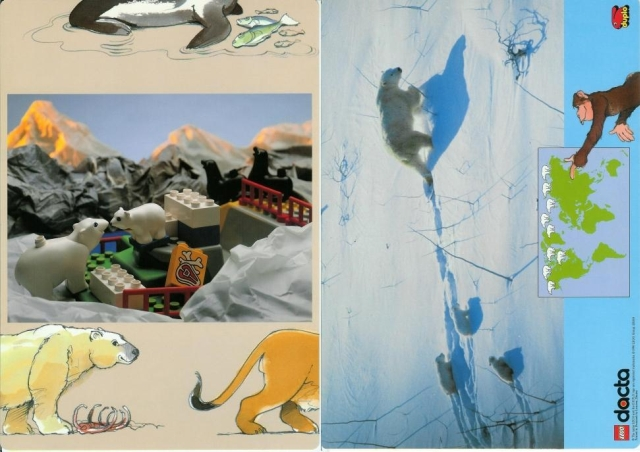 Set 9160 Activity Card 4 - Polar Bear (120330)