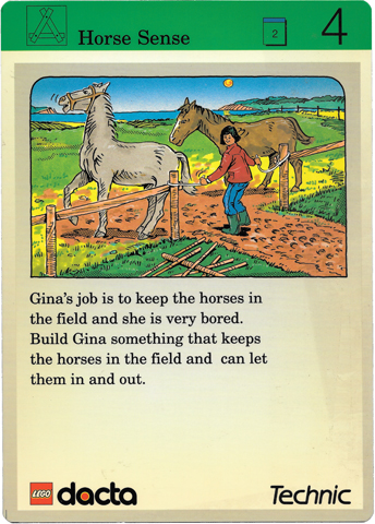 Set 9603 Activity Card Exploration 4 - Horse Sense AUS version (117922)