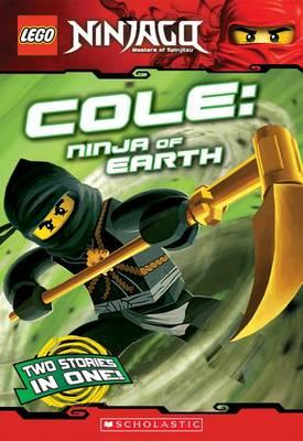 NINJAGO - Masters of Spinjitzu - Cole: Ninja of Earth