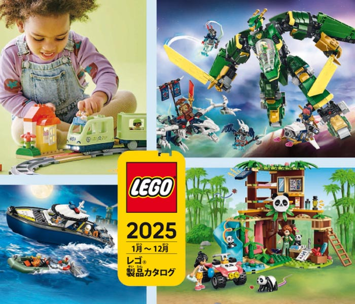 2025 Large Japanese January - December