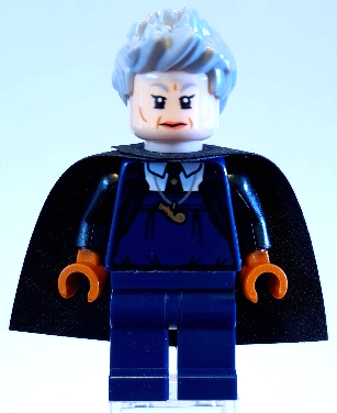 Lego hot sale madam hooch