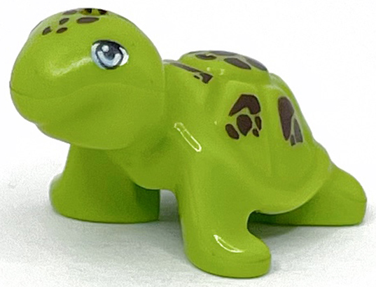 Turtle, Friends Style with Bright Light Blue Eyes and