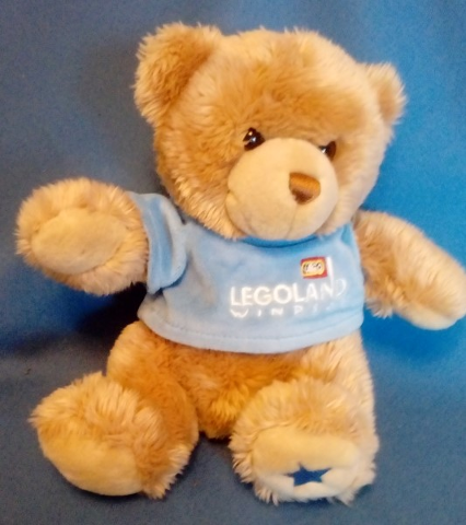 teddy bear with blue shirt