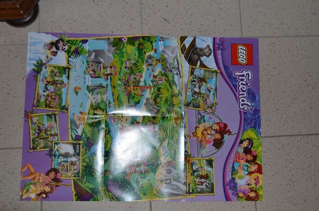 Friends Poster, Jungle Theme (Double-Sided)