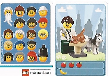 Community Set 45022 Game Card 04 - Veterinarian