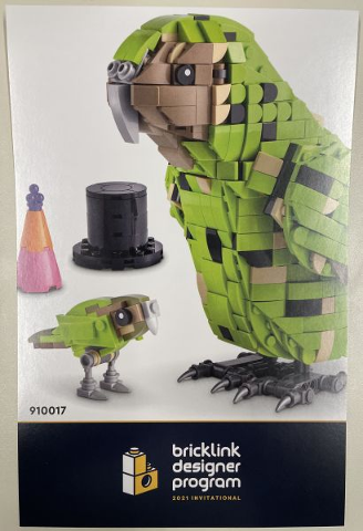 Flyer 2021 Set 910017 Insert - Building App Link and Instructions