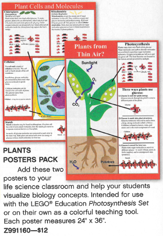 Plants Posters Pack