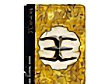 BIONICLE Lamincard 160