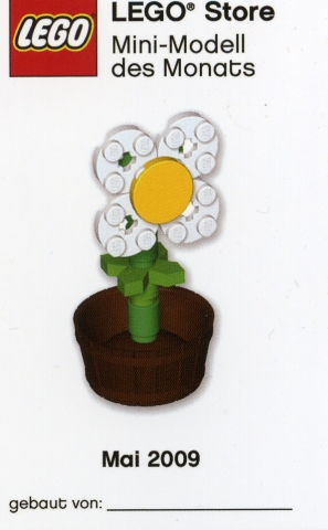 Mini-Modell des Monats-Karte - 2009 05 Mai, Butterblume