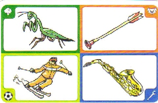 Creationary Game Card 112 Praying Mantis