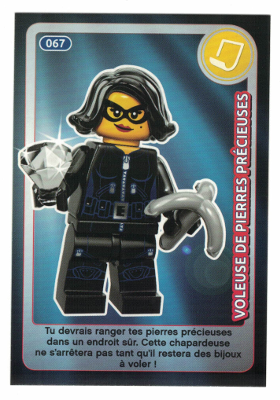 Create the World Trading Card #067 Voleuse De Pierres Précieuses (French)