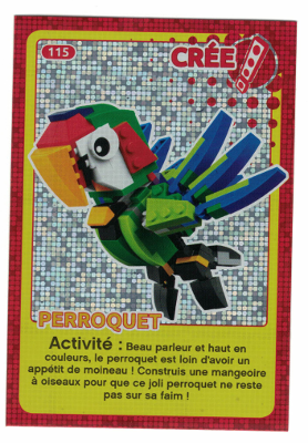 Create the World Trading Card #115 Create: Perroquet (French)