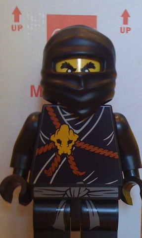 Display Figure 7in x 11in x 19in (NINJAGO Cole)
