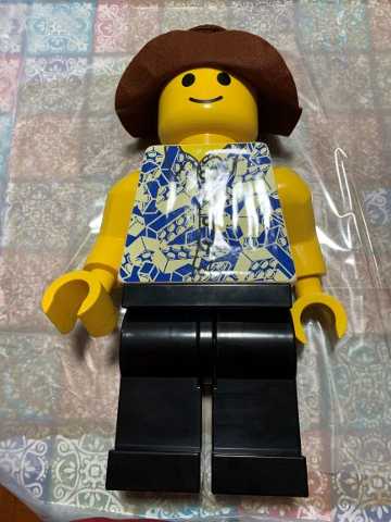 Display Figure 7in x 11in x 19in (Boy with Hat and Hawaiian Shirt)