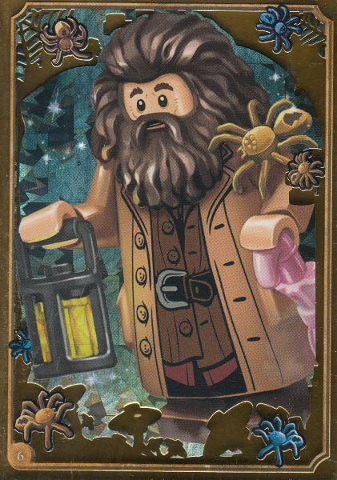 Harry Potter Trading Card Collection Series 1 - # 6 (Foil Variant)