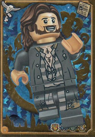 Harry Potter Trading Card Collection Series 1 - # 9 (Foil Variant)