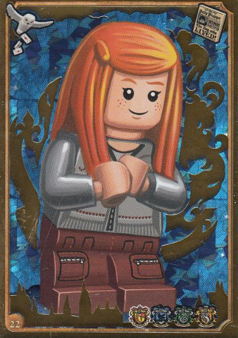 Harry Potter Trading Card Collection Series 1 - # 22 (Foil Variant)