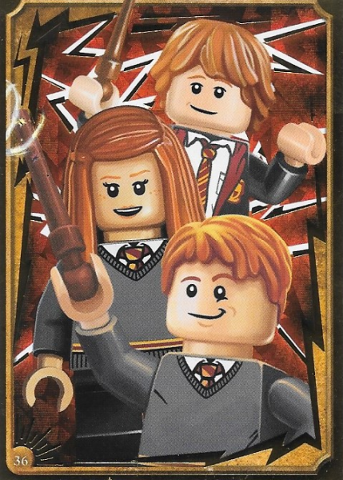 Harry Potter Trading Card Collection Series 1 - # 36 (Foil Variant)