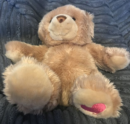 Teddy Bear Plush - Pink Heart on Foot